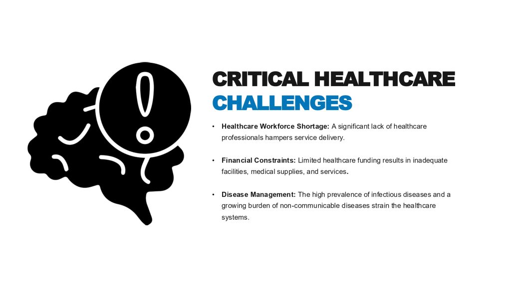 Partner presentation slide 4: Healthcare challenges
